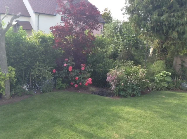 Garden 3.webp
