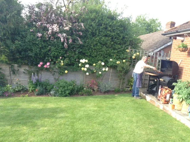 Garden 5JPG.webp