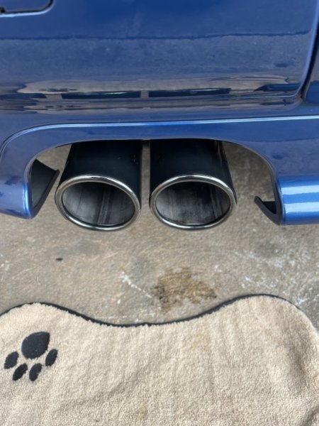 IMG_4849.jpeg IMG_4849.jpeg