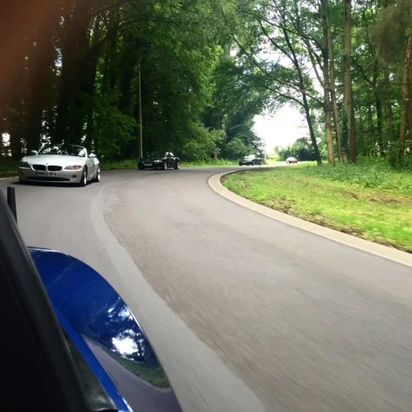 image.webp