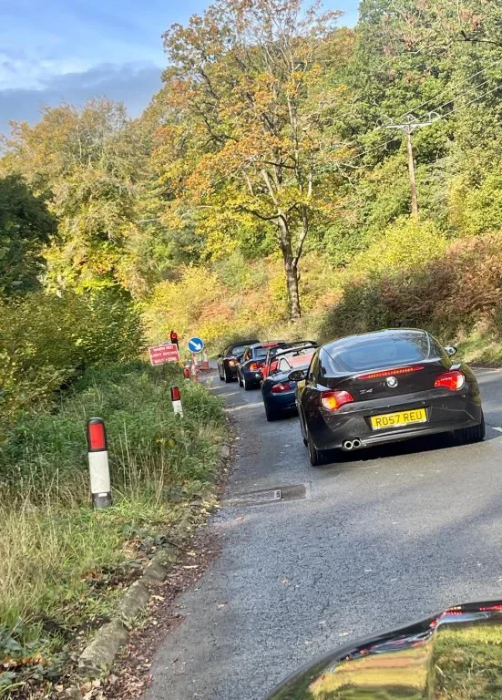 Into the Forest.webp