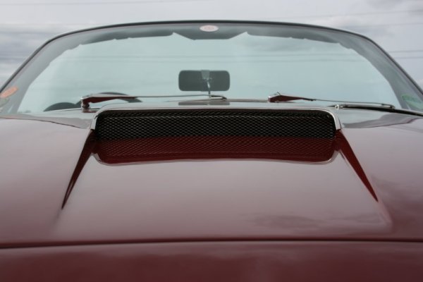 IMG_9991.JPG IMG_9991.JPG