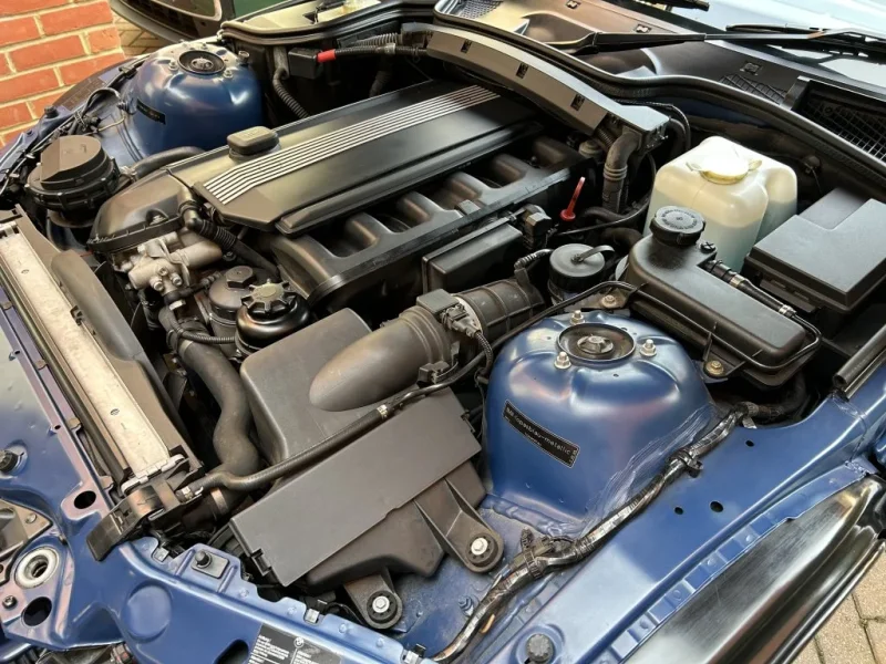IMG_4248.webp IMG_4248.webp