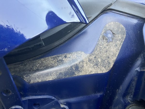 IMG_6795.jpeg IMG_6795.jpeg