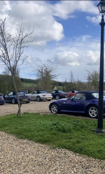 IMG_7308.jpeg IMG_7308.jpeg