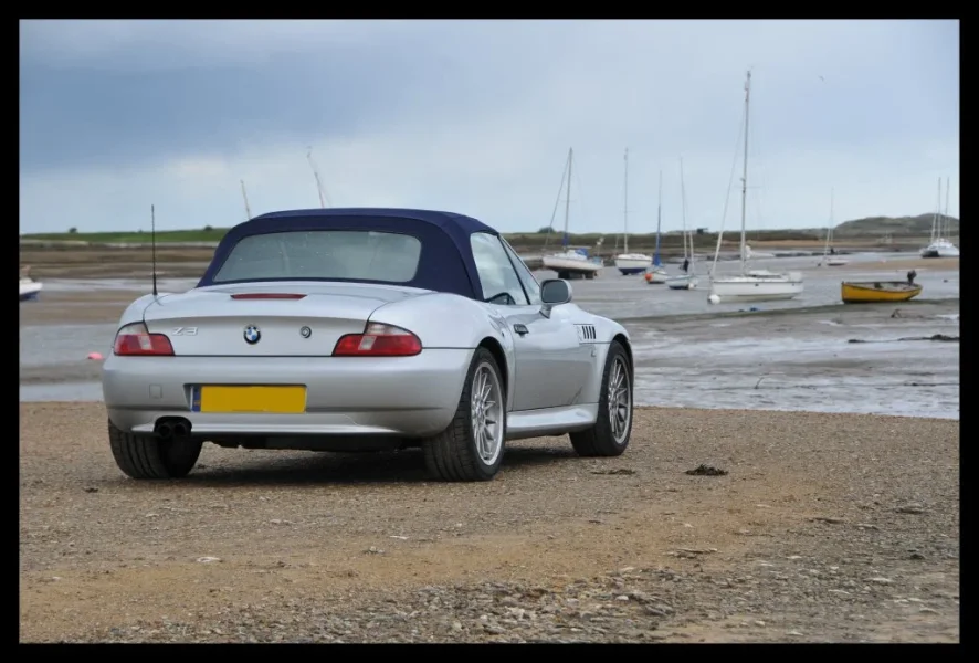 Zed on Beach 3.webp