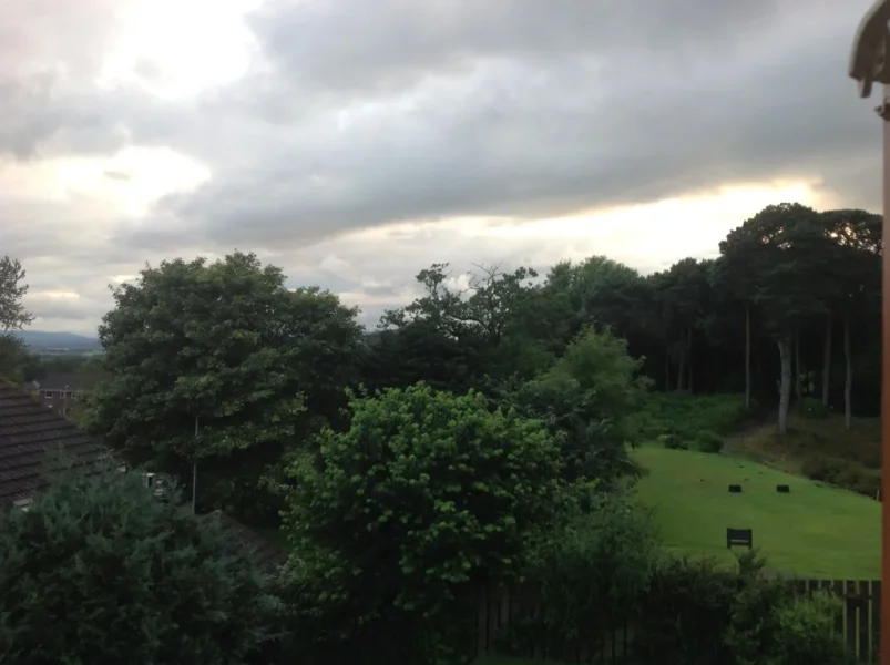 image.webp
