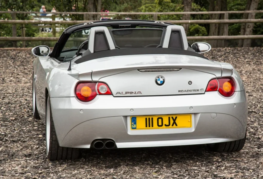 Alpina at Zedfest.webp