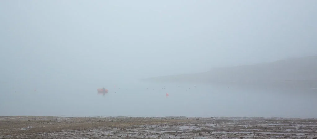 Carsington Water Jan 17-2.webp