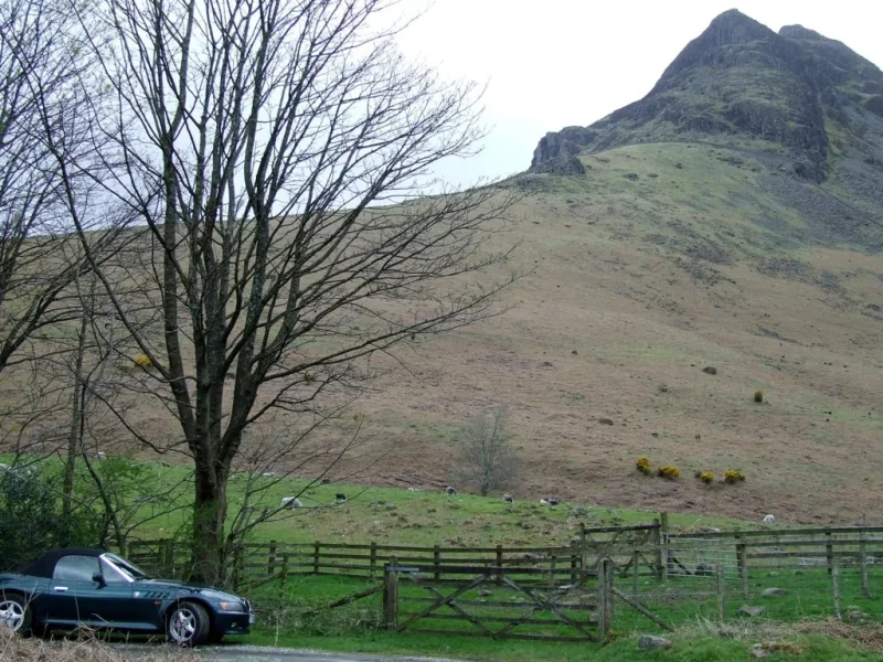 DSCF2416.webp