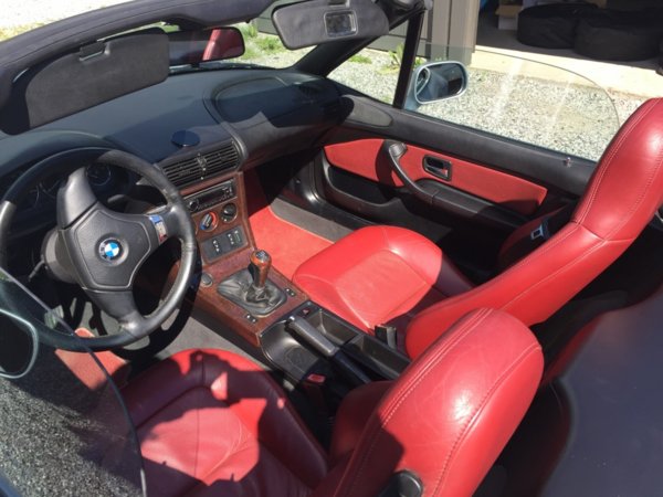 IMG_7743.thumb.jpg.813203261d4457ebe123433c5ace59f1.jpg IMG_7743.thumb.jpg.813203261d4457ebe123433c5ace59f1.jpg