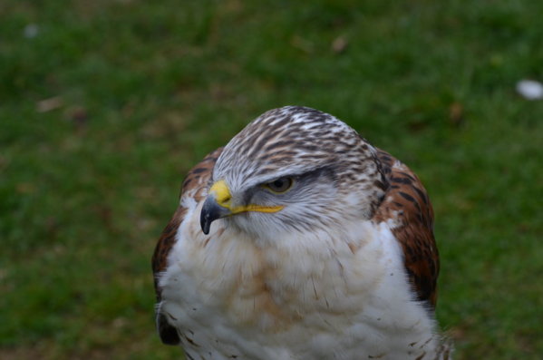 DSC_3663.JPG