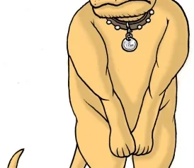 111003_SCI_neuteredPets.jpg.CROP.thumbnail-small.webp