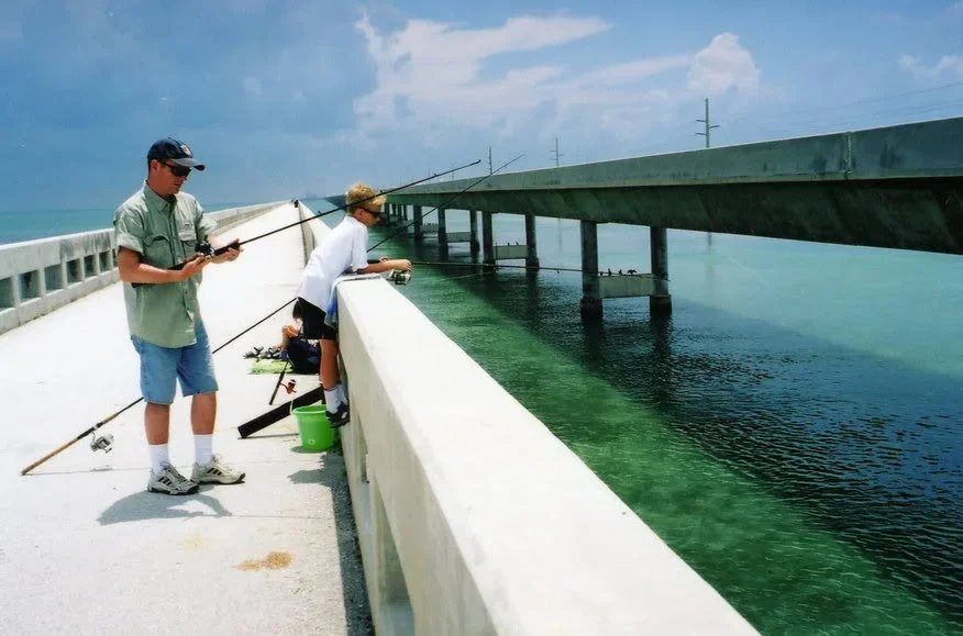 bridge0046.webp bridge0046.webp