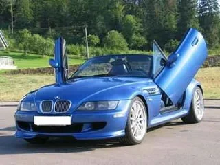 z3 gull.webp