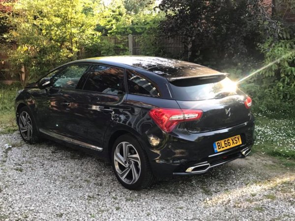 DS5.jpg