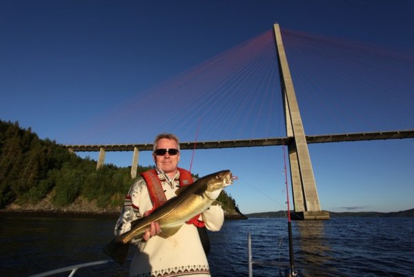 Norway Cod_zpsflbijpvg.jpg