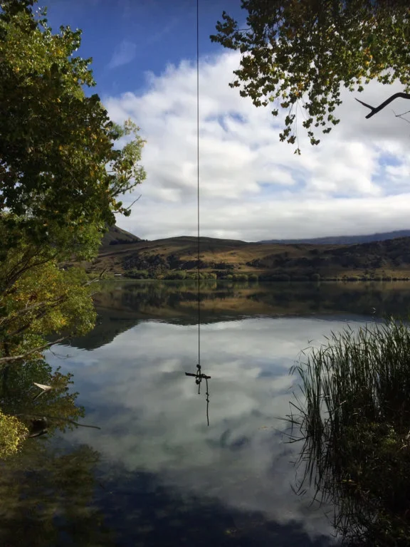 Lake Hase tree swing.webp