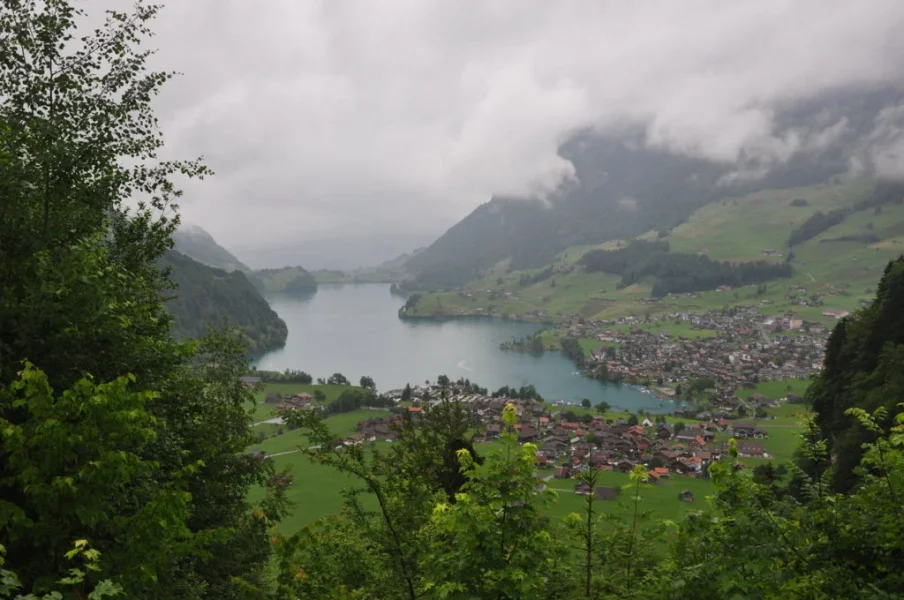 7545048D-FAD4-4B89-A766-C3960E553305.webp