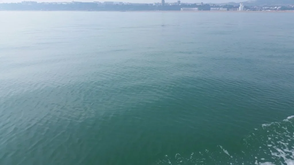 20180707_161450.webp