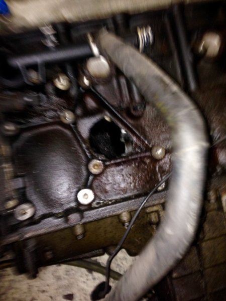 B775C647-0375-408E-ABB3-5A11AACB6E24.jpeg