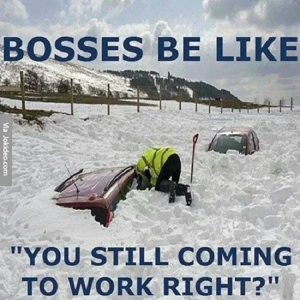 Bosses-be-like---snow-meme.webp