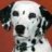 Firedog550