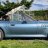 Bluebird65