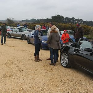 New Forest, 15 April 2018