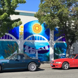 Art Cars