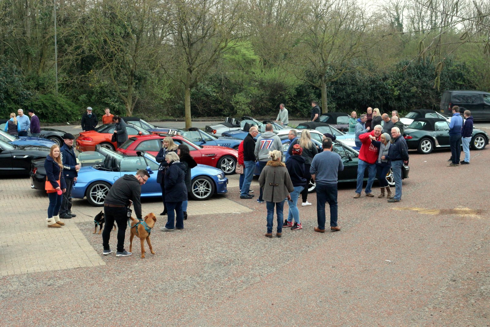 New Forest, 15 April 2018