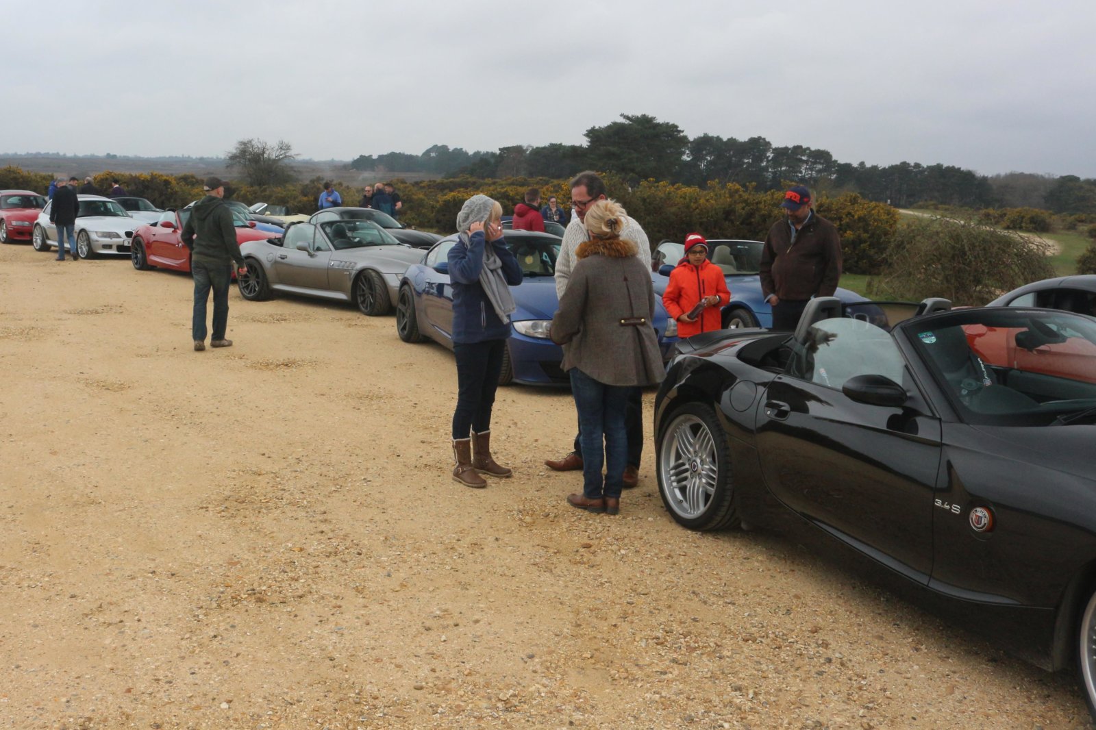 New Forest, 15 April 2018