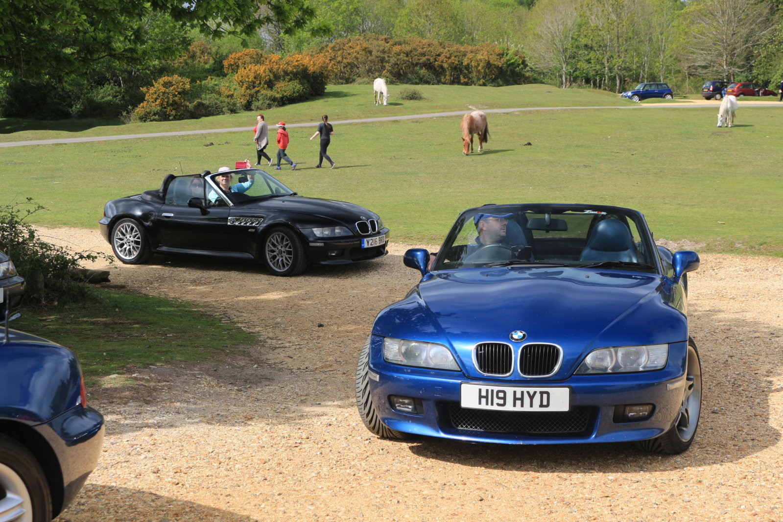 New Forest Cruise - 10 May 2015