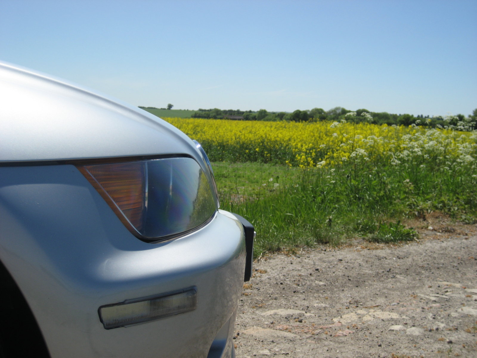 Out and about in Wiltshire