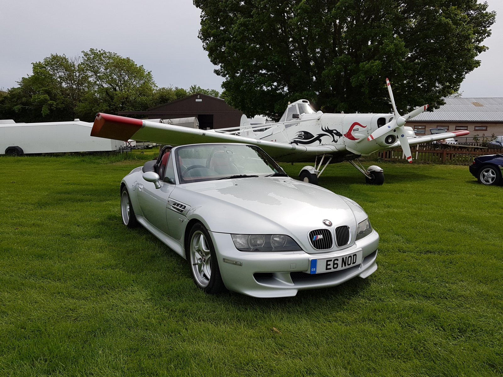 Willow and Plane