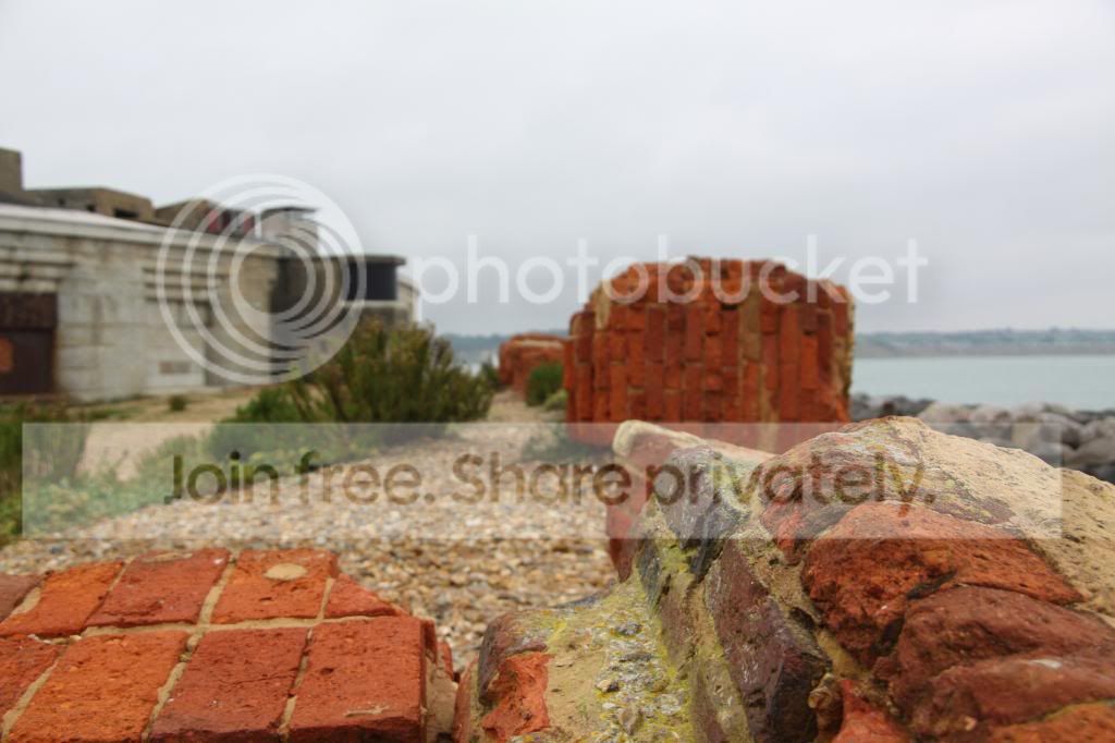 IMG_9493_zps8856bd65.jpg