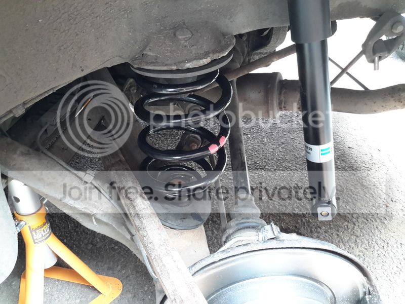 rearspring2.jpg