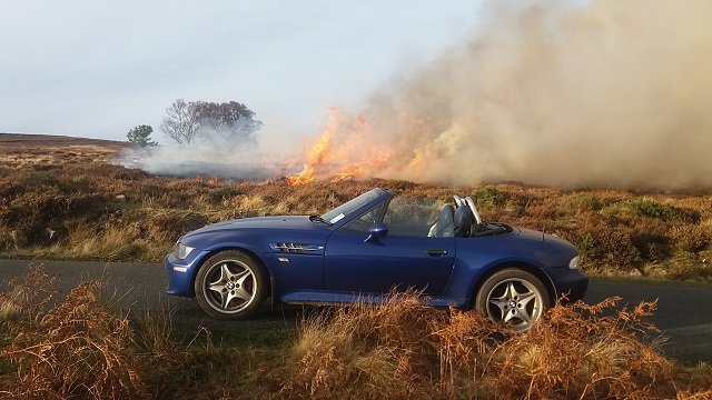 ZM_Fire.jpg