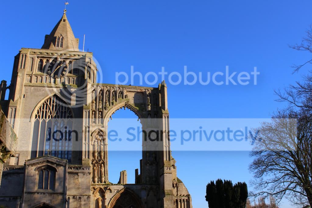 IMG_0138_zps515953ab.jpg