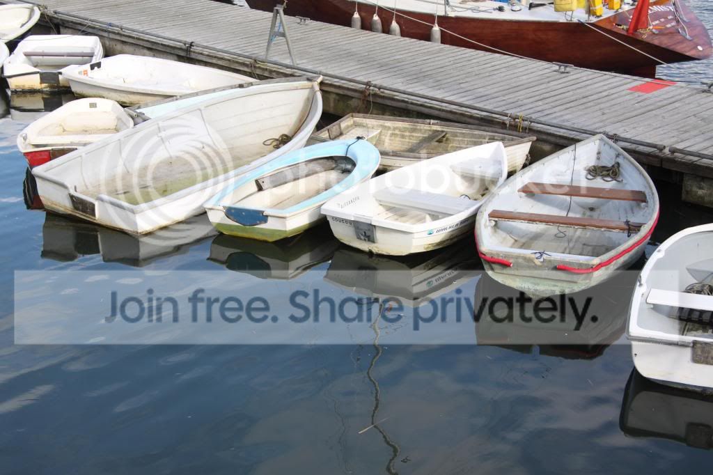 IMG_9438_zps5e48585e.jpg